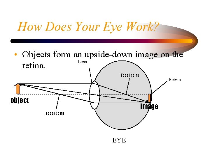 JELLO OPTICS How Does Light Bend Refraction Light