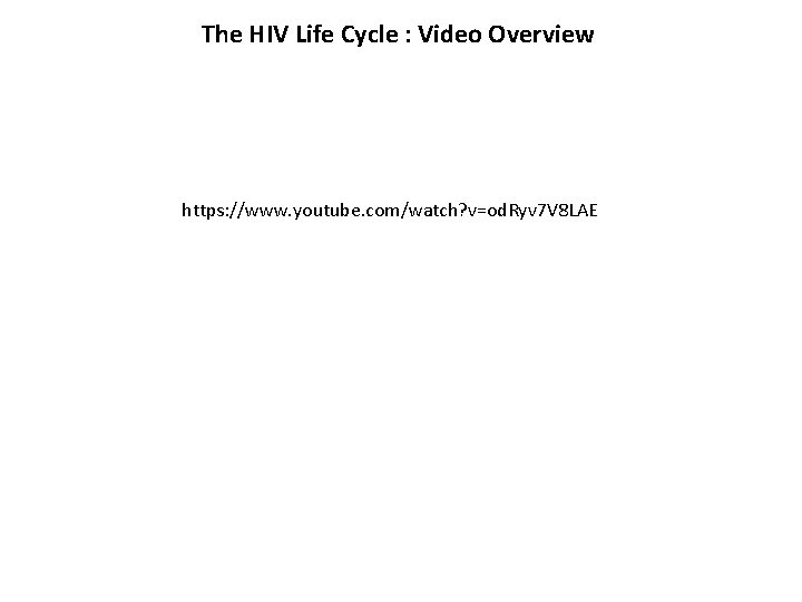 The HIV Life Cycle : Video Overview https: //www. youtube. com/watch? v=od. Ryv 7