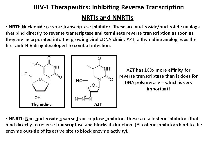 HIV-1 Therapeutics: Inhibiting Reverse Transcription NRTIs and NNRTIs • NRTI: Nucleoside reverse transcriptase inhibitor.