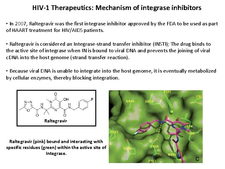 HIV-1 Therapeutics: Mechanism of integrase inhibitors • In 2007, Raltegravir was the first integrase