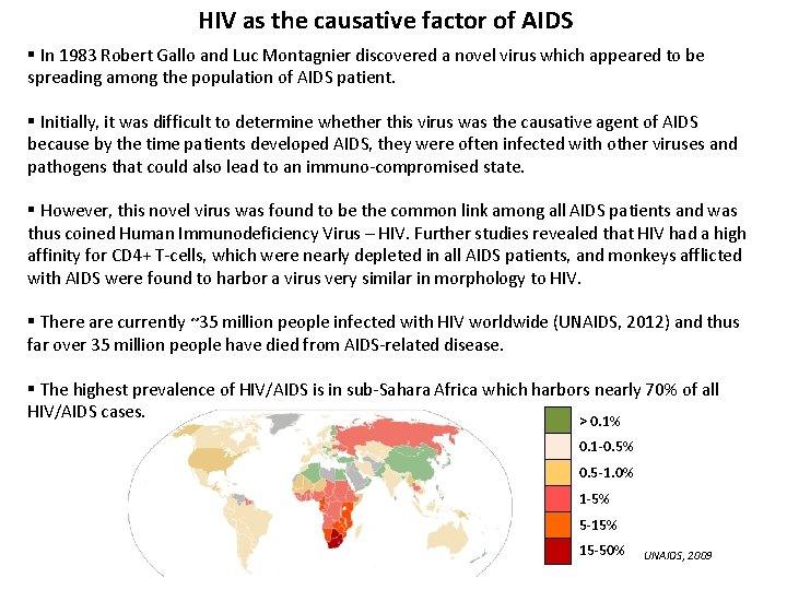 HIV as the causative factor of AIDS § In 1983 Robert Gallo and Luc