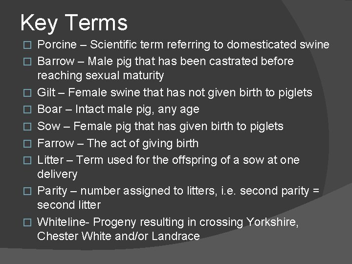 Key Terms � � � � � Porcine – Scientific term referring to domesticated