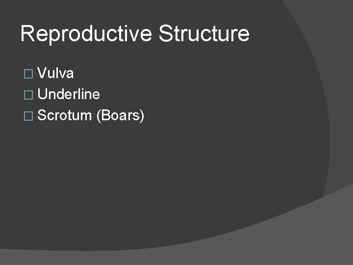 Reproductive Structure � Vulva � Underline � Scrotum (Boars) 