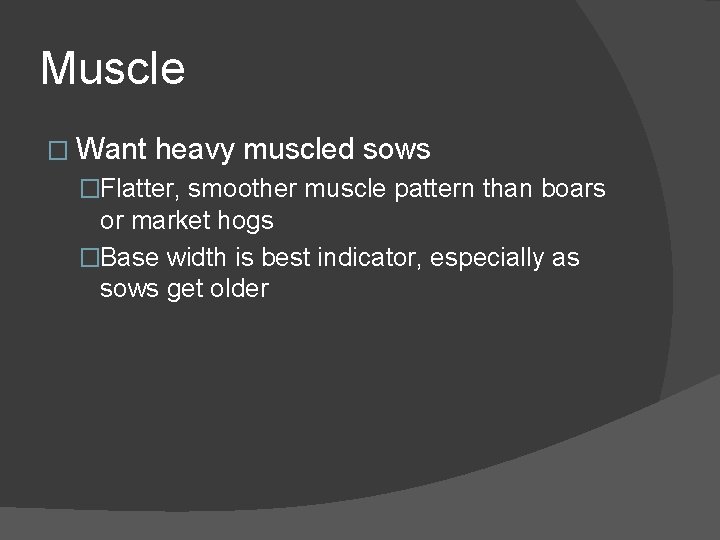 Muscle � Want heavy muscled sows �Flatter, smoother muscle pattern than boars or market