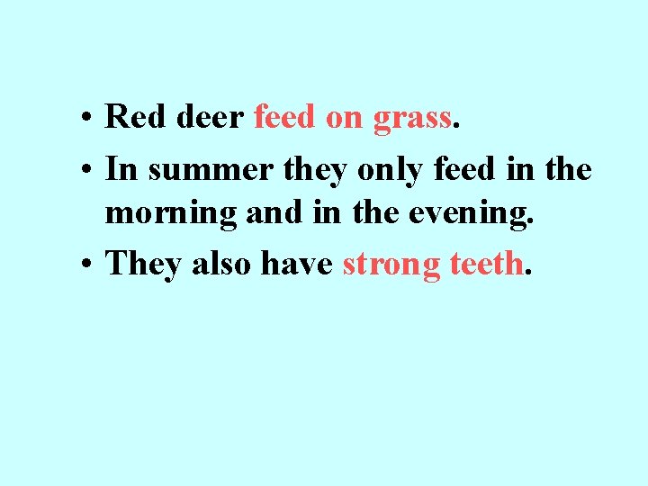  • Red deer feed on grass. • In summer they only feed in