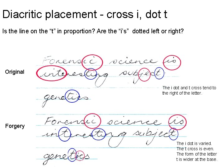 Diacritic placement - cross i, dot t Is the line on the “t” in