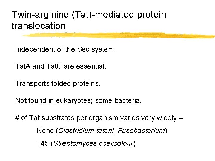 Twin-arginine (Tat)-mediated protein translocation Independent of the Sec system. Tat. A and Tat. C