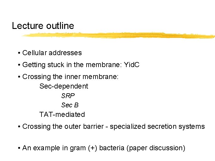 Lecture outline • Cellular addresses • Getting stuck in the membrane: Yid. C •