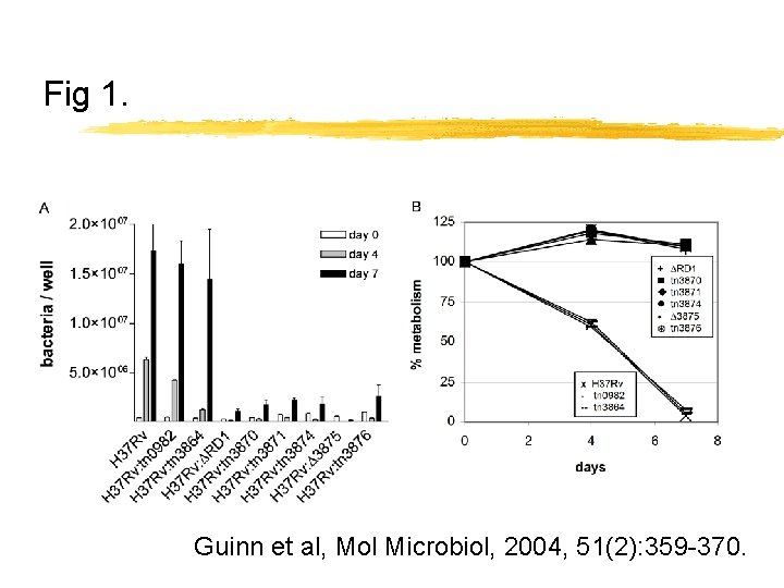 Fig 1. Guinn et al, Mol Microbiol, 2004, 51(2): 359 -370. 