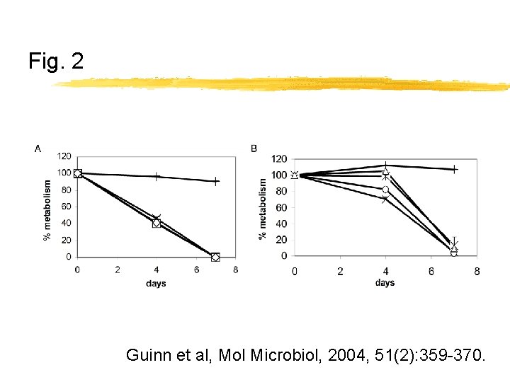 Fig. 2 Guinn et al, Mol Microbiol, 2004, 51(2): 359 -370. 