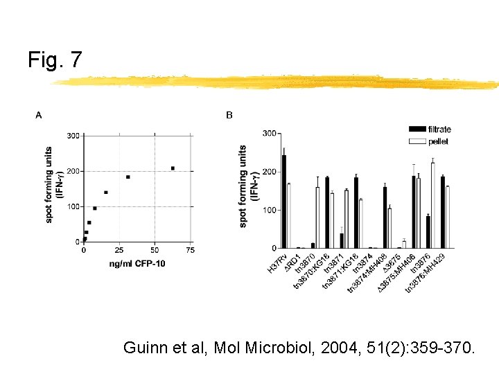 Fig. 7 Guinn et al, Mol Microbiol, 2004, 51(2): 359 -370. 