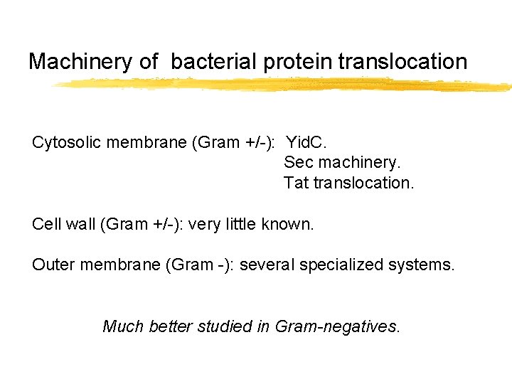 Machinery of bacterial protein translocation Cytosolic membrane (Gram +/-): Yid. C. Sec machinery. Tat