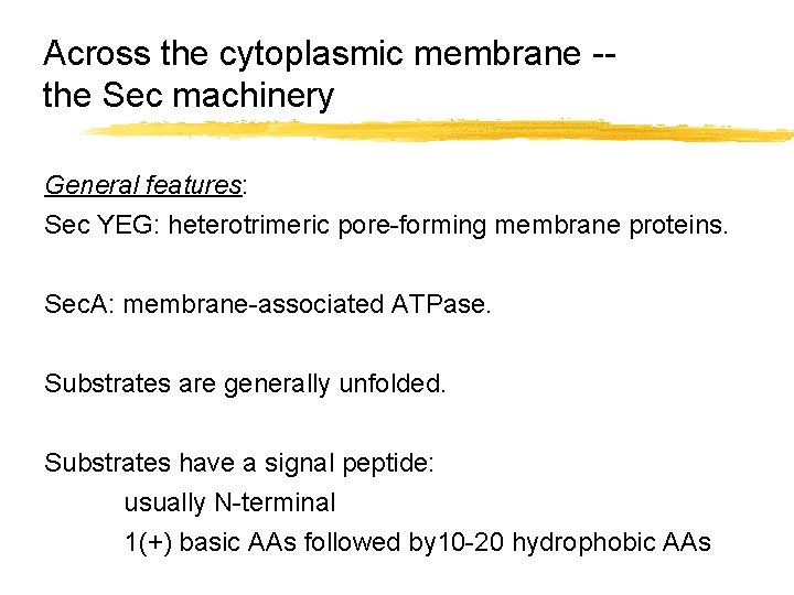 Across the cytoplasmic membrane -the Sec machinery General features: Sec YEG: heterotrimeric pore-forming membrane