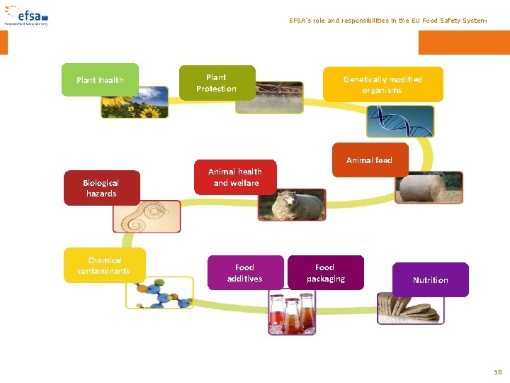 EFSA’s role and responsibilities in the EU Food Safety System FROM FIELD TO PLATE