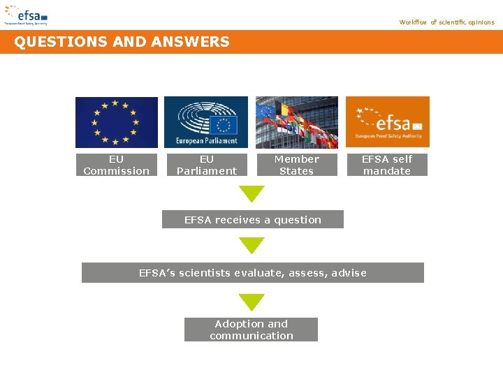 Workflow of scientific opinions QUESTIONS AND ANSWERS EU Commission EU Parliament Member States EFSA