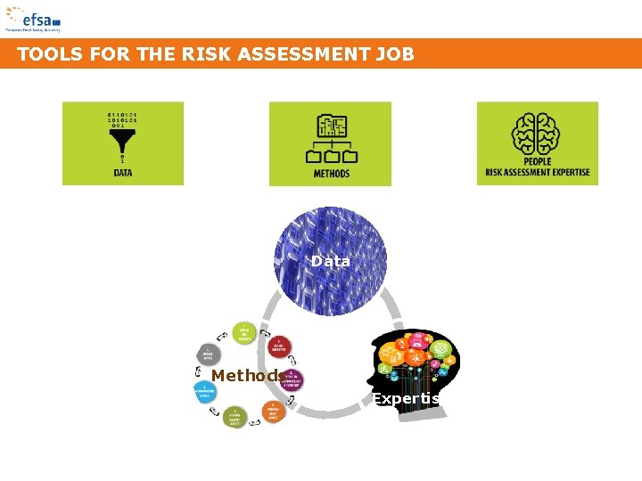 TOOLS FOR THE RISK ASSESSMENT JOB Data Methods Expertise 