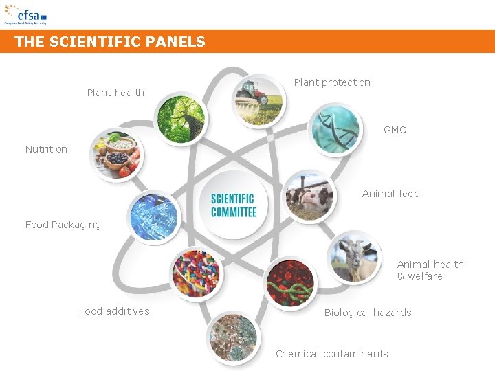 THE SCIENTIFIC PANELS Plant health Plant protection GMO Nutrition Animal feed Food Packaging Animal