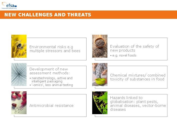 NEW CHALLENGES AND THREATS Environmental risks e. g multiple stressors and bees Evaluation of