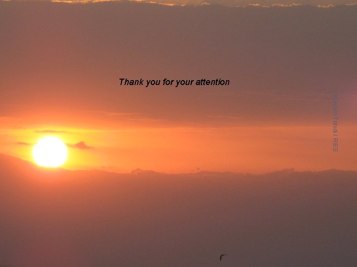 Thank you for your attention Maryam Tohidi / RIES 