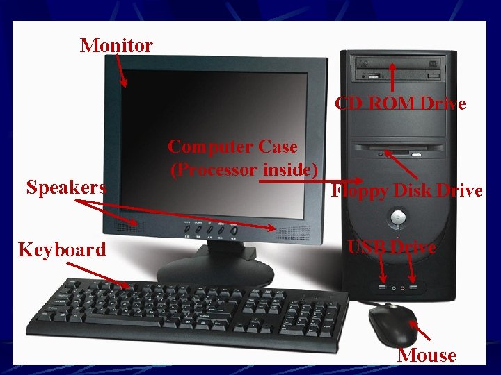 Monitor CD ROM Drive Speakers Keyboard Computer Case (Processor inside) Floppy Disk Drive USB