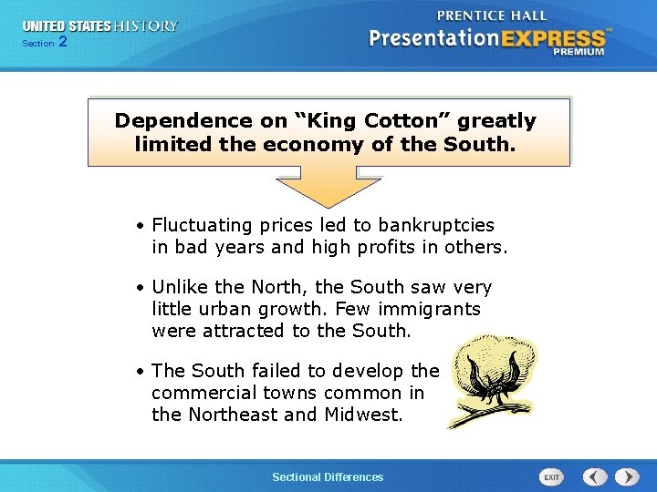 225 Section Chapter Section 1 Dependence on “King Cotton” greatly limited the economy of