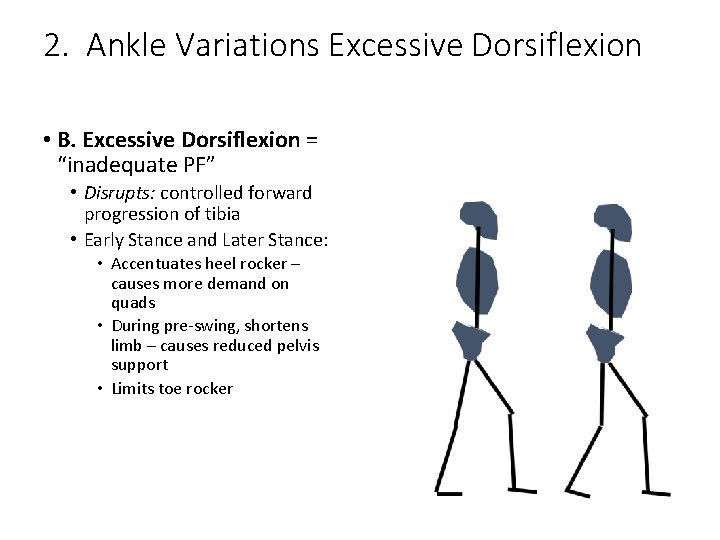 2. Ankle Variations Excessive Dorsiflexion • B. Excessive Dorsiflexion = “inadequate PF” • Disrupts: