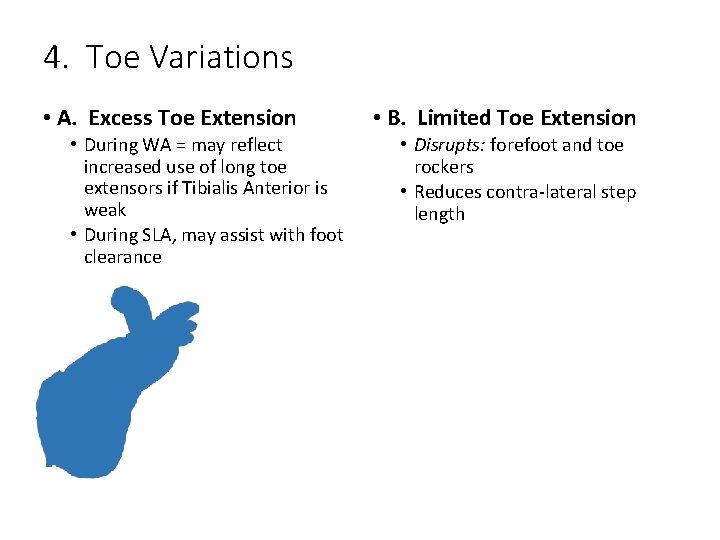 4. Toe Variations • A. Excess Toe Extension • During WA = may reflect