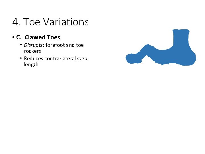 4. Toe Variations • C. Clawed Toes • Disrupts: forefoot and toe rockers •
