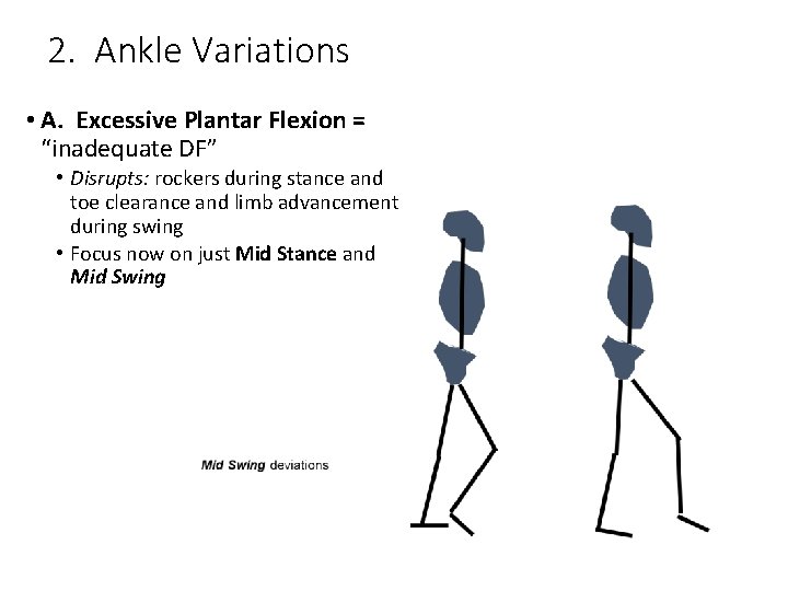 2. Ankle Variations • A. Excessive Plantar Flexion = “inadequate DF” • Disrupts: rockers