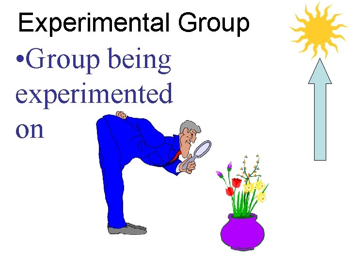 Experimental Group • Group being experimented on 