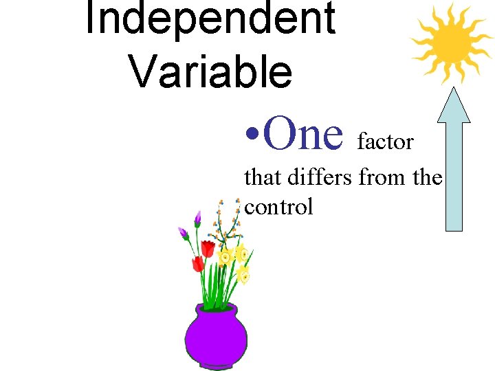 Independent Variable • One factor that differs from the control 