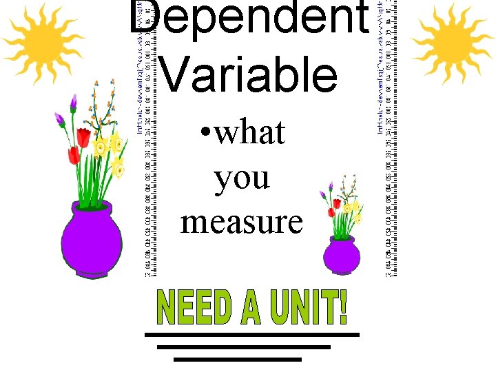 Dependent Variable • what you measure 