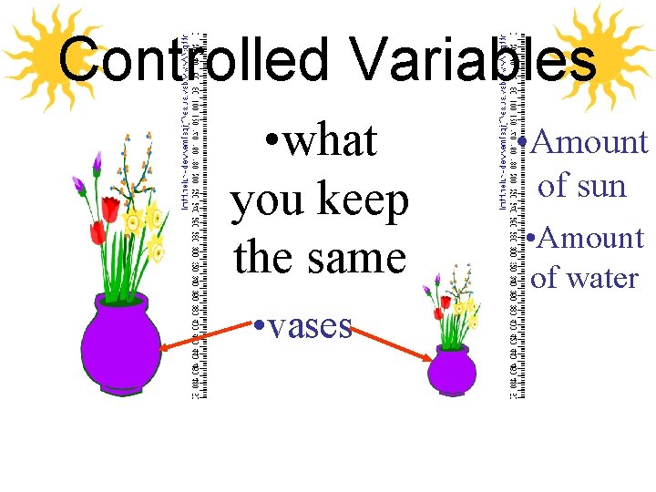 Controlled Variables • what you keep the same • vases • Amount of sun