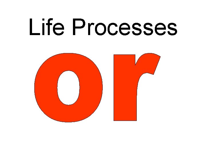Life Processes 