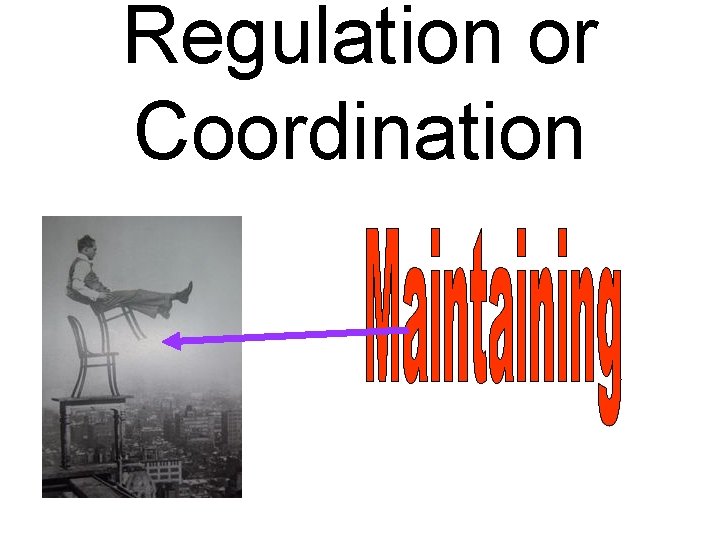 Regulation or Coordination 
