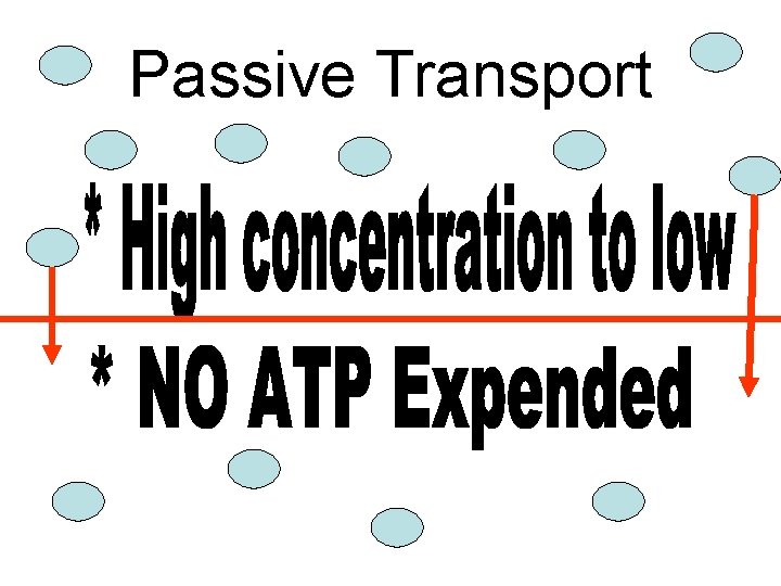 Passive Transport 