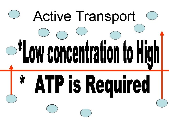 Active Transport 