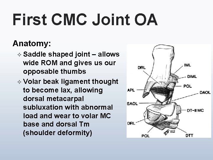 First CMC Joint OA Anatomy: ² Saddle shaped joint – allows wide ROM and