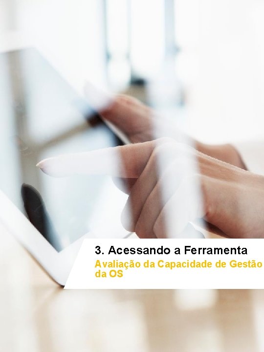 3. Acessando a Ferramenta Avaliação da Capacidade de Gestão da OS Página 20 Manual