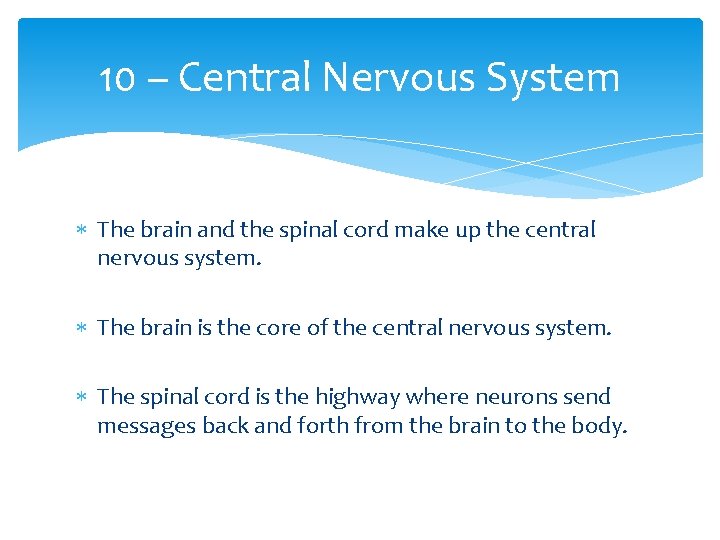 10 – Central Nervous System The brain and the spinal cord make up the