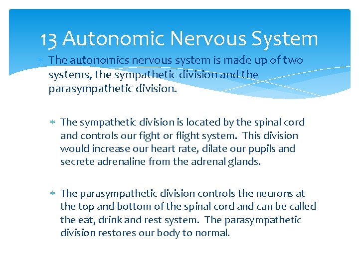 13 Autonomic Nervous System The autonomics nervous system is made up of two systems,