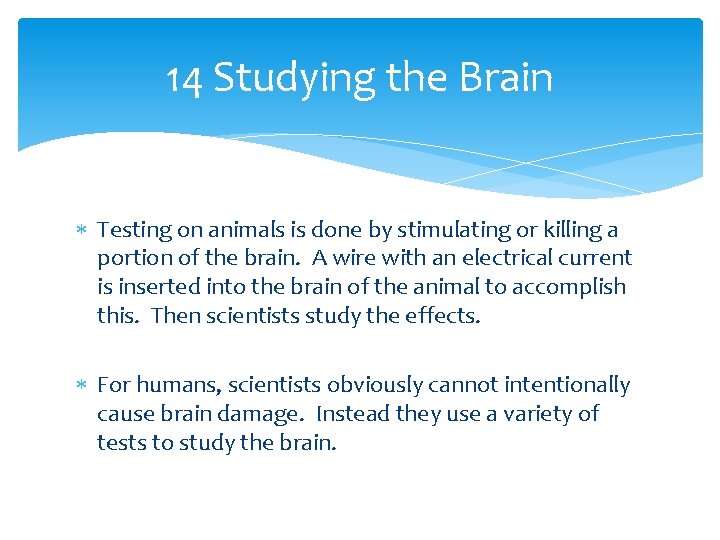 14 Studying the Brain Testing on animals is done by stimulating or killing a