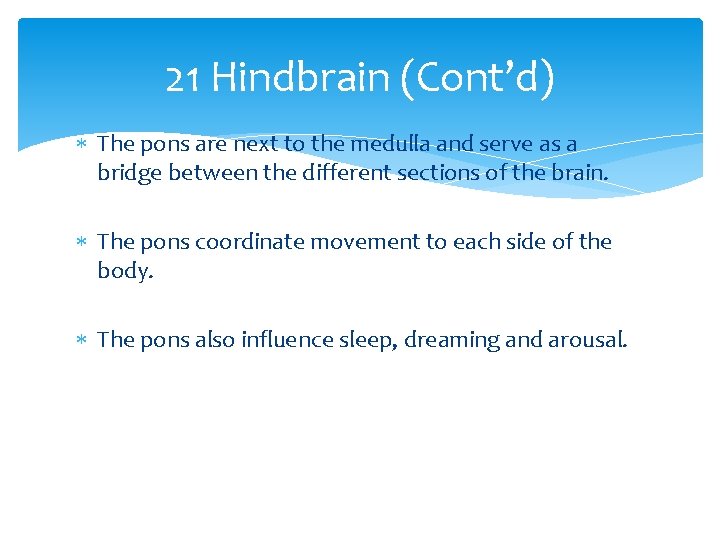21 Hindbrain (Cont’d) The pons are next to the medulla and serve as a