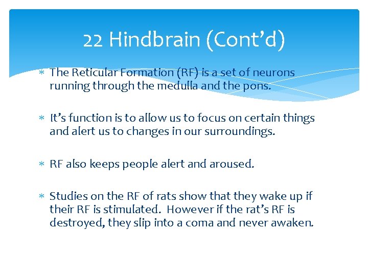 22 Hindbrain (Cont’d) The Reticular Formation (RF) is a set of neurons running through