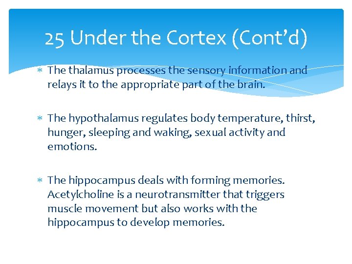 25 Under the Cortex (Cont’d) The thalamus processes the sensory information and relays it