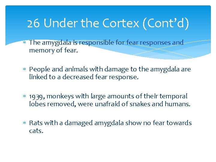 26 Under the Cortex (Cont’d) The amygdala is responsible for fear responses and memory