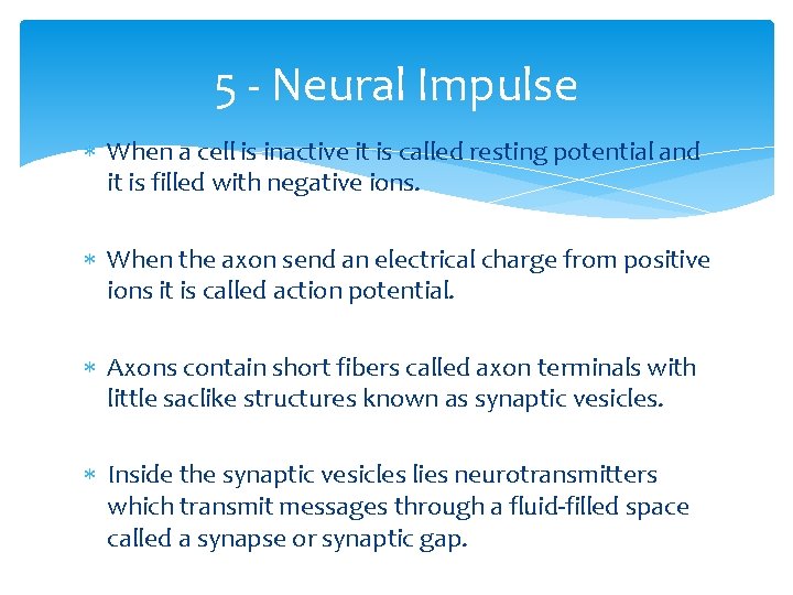 5 - Neural Impulse When a cell is inactive it is called resting potential