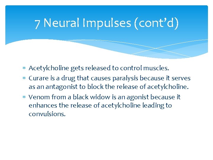 7 Neural Impulses (cont’d) Acetylcholine gets released to control muscles. Curare is a drug