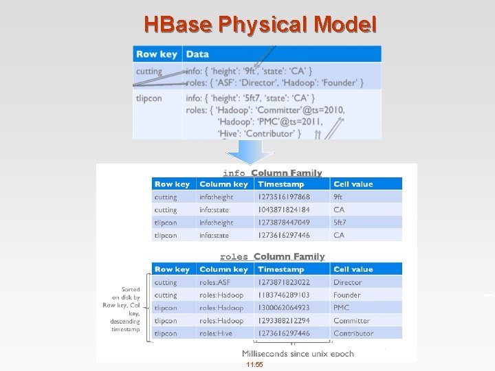 HBase Physical Model 11. 55 