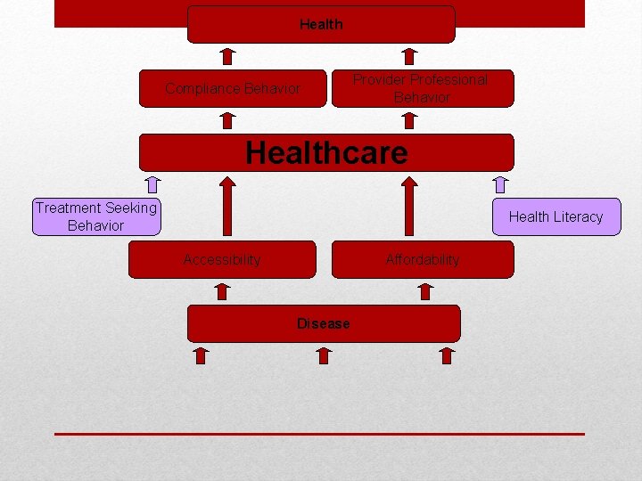 Health Compliance Behavior Provider Professional Behavior Healthcare Treatment Seeking Behavior Health Literacy Accessibility Affordability